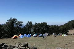 IMG-20181121-WA0007