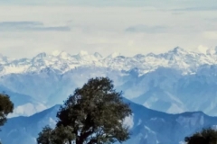 IMG-20181121-WA0011