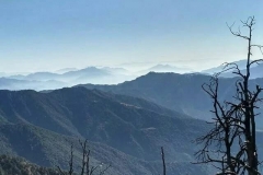 IMG-20181121-WA0013