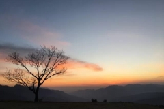 IMG-20181121-WA0016