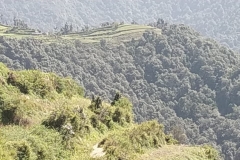 IMG-20181121-WA0024