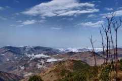 IMG-20210228-WA0016