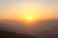 IMG-20210228-WA0019