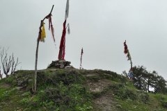 IMG-20191126-WA0021